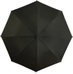 FALCONETTI Klassisk paraply i sort - set oppefra